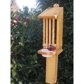 Butterfly  House/ Feeder